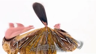 PPAP But Every Time He Says Pen The Pitch Goes Up By 2%