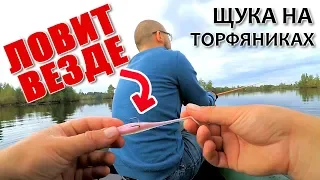 На эту приманку клюёт везде! Рыбалка на торфяниках с другом! Ловля щуки!