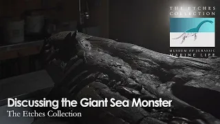 Discussing the Giant Sea Monster #searex #attenboroughandthegiantseamonster