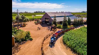 The Coolest Pumpkin Patch in California: Hunter Farms