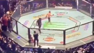 McGregor vs Khabib incident after fight