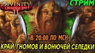 DIVINITY ORIGINAL SIN 2 - АКТ 2 - КРАЙ  ГНОМОВ И ВОНЮЧЕЙ СЕЛЕДКИ (2K) #6