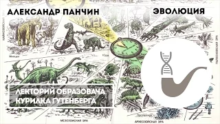 Александр Панчин - Современный взгляд на эволюцию