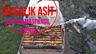 ARICILIK 2021 | Oksalik asit nasıl uygulanır. Kahrolsun varroa. Doğal Varroa Mücadelesi Nasıl.