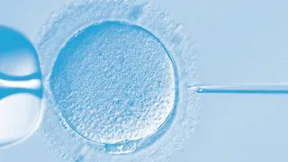 IVF Lab Tour - What happens Inside (Fertilization by ICSI to Embryo Transfer)