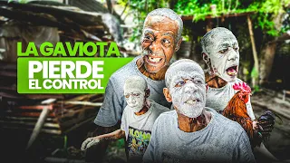 LAS OCURRENCIAS DE MIS TÍOS: La Gaviota Se Sale de CONTROL 🤯 y el Juego de la Harina