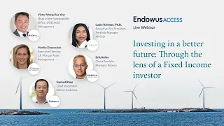 Investing in ESG Fixed Income Funds - through the lens of ESG fund managers