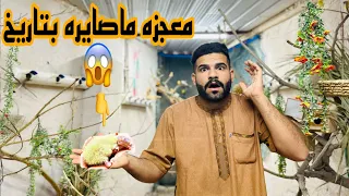 فيديو عجيب 😱؟؟