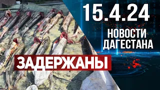 Новости Дагестана за 15.04.2024 год