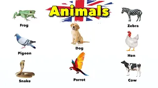 Animal names in English! - English Vocabulary