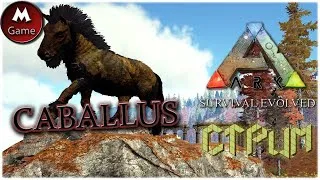 ARK.СТРИМ.#2.CABALLUS.Всё пропало! Переезд к соседу.