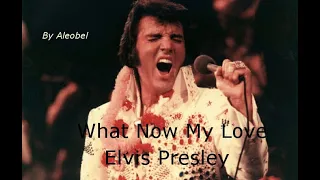What Now My Love ♥ Elvis Presley ~  Traduzione in Italiano