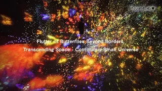 Flutter of Butterflies Beyond Borders, Transcending Space