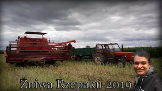 Żniwa Rzepaku 2019☑Czy uda się zdążyć przed deszczem AgroRolnik1224