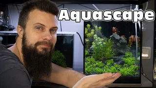 From emty to a fully planted aquarium - Iwagumi aquascape (Swe language with eng sub)