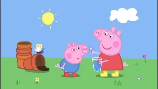 World of PEPPA Pig, caring for Guinea pigs. #guineapig #peppapig #peppa #peppapigsongs