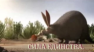 СИЛА ЕДИНСТВА... мультик со смыслом!