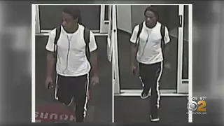 Police Seek Suspect In Series Of Random Violent Attacks