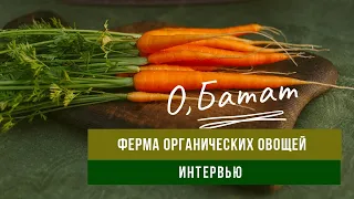 О, Батат | Интервью с создателями единственной фермы органического земледелия в Ростовской области