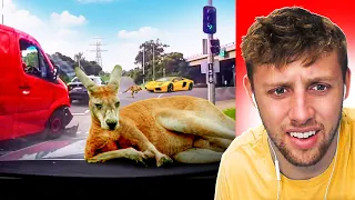 SIDEMEN REACT TO AUSTRALIAN DASHCAMS!