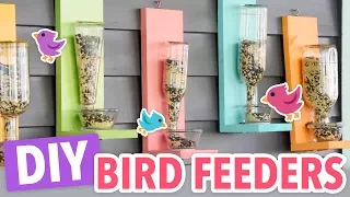 DIY Bird Feeders