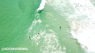 😱 Shark coming dangerously close to surfers in Capetown 🦈🦈🦈🦈