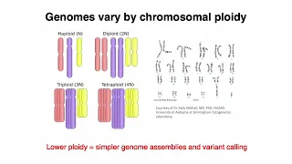 (2022) MCB 182 Lecture 0 - Review of Genes and Genomes