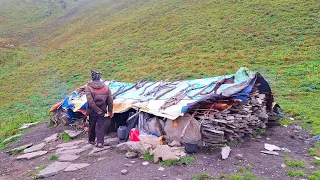 Himalayan Village Life | Nepal | Organic Shepherd Food Cooking | Shepherd Kitchen | Real Nepali Life