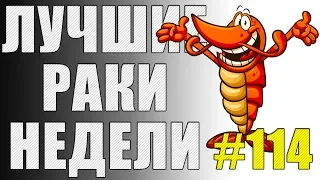 ЛРН выпуск №114. ДЕМБЕЛЬСКИЙ АККОРД СИСТЕМЫ АВТОБАНА и БЕЗЗАЩИТНЫЙ ЗАЩИТНИК  [Лучшие Раки Недели]