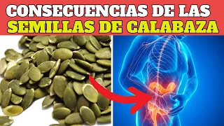 ¡ALERTA  ! LAS CONSECUENCIAS de consumir SEMILLAS de CALABAZA con CÁSCARA para tu cuerpo