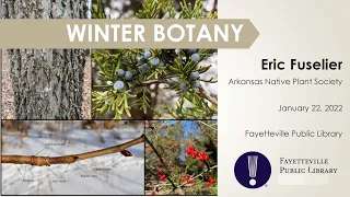 Winter Botany with Eric Fuselier