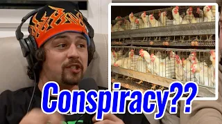 Evan Reveals The TRUTH About "Free Range Chickens"