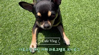 Eng,kor cc)가로수길 개인카페 브이로그🫰🏻| Cafe Vlog | 강아지 타코의 카페 매니저 챌린지 | 근본없는 베이킹 | 음료제조 | 제빙기 청소 | 카페브이로그 💗