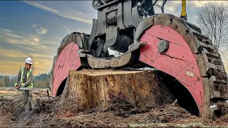 Amazing Powerful Stump Removal Excavator At Another Level, Fastest Stump Removal Grinding Machines