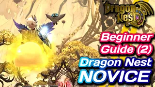 Beginners Guide Dragon Nest Novice - Dragon Nest SEA