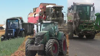 самые популярные видео на канале за все время !