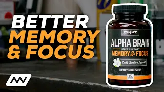 Boost Brain Power with Alpha Brain | Nootropics That Support Cognitive Functions