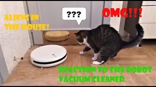 The cat's reaction to the robot vacuum cleaner* Funny cat*