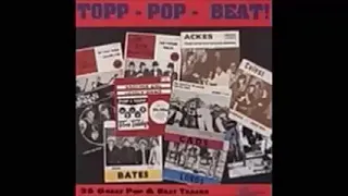 Various ‎– Topp - Pop - Beat! 60s Swedish Great Pop, Garage & Beat Rock & Roll (1965-68) Music LP 🇸🇪