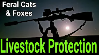 Livestock Protection Foxes and Feral Cats