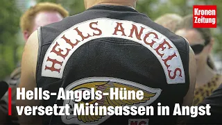 In Wiener Häfn: Hells-Angels-Hüne versetzt Mitinsassen in Angst | krone.tv NEWS