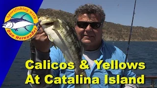 552 Gail Force Fishing At Catalina Island | SPORT FISHING