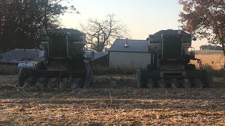 Day 3 of corn harvest 2020 with gleaner combines