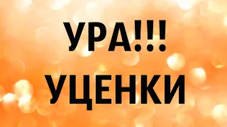 🌸Продажа орхидей. ( УЦЕНКИ )  Отправка только по Украине. ЗАМЕЧТАТЕЛЬНЫЕ КРАСОТКИ👍