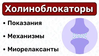 Холиноблокаторы: классификация, механизм действия / Фармакология ПНС