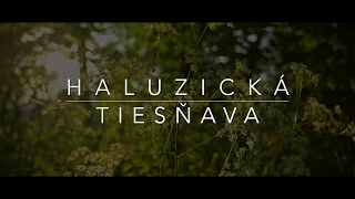 Haluzická tiesňava - Rhino EVO Cinematic - ARC, Nikon Z6, Sigma 50mm f/1.4