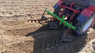 Необычный способ посадки картофеля!Получилось!