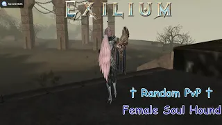 Female Soul Hound - Random PvP - [L2 Exilium H5 PVP Server] - #EP10