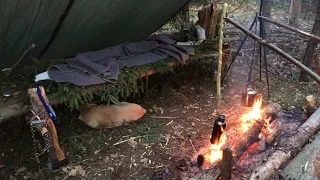 Comfortable Overnight Bushcraft Camping (Napisy PL) Wygodna Nocka w Lesie