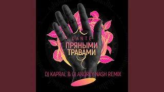 Пряными травами (DJ Kapral & DJ Andrey Nash Remix)